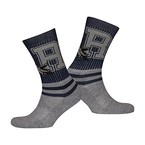 Harry Potter Ravenclaw Striped Adults Socks