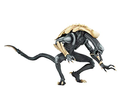 NECA Alien vs Predator Arcade Chrysalis Alien Multicolor Plastic Action Figure Manufacturer