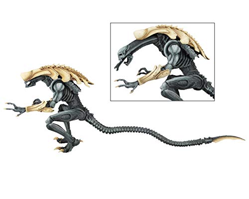 NECA Alien vs Predator Arcade Chrysalis Alien Multicolor Plastic Action Figure Manufacturer