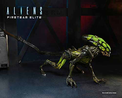 NECA Aliens Fireteam Action Figure Burster Black/Green, 100% Plastic