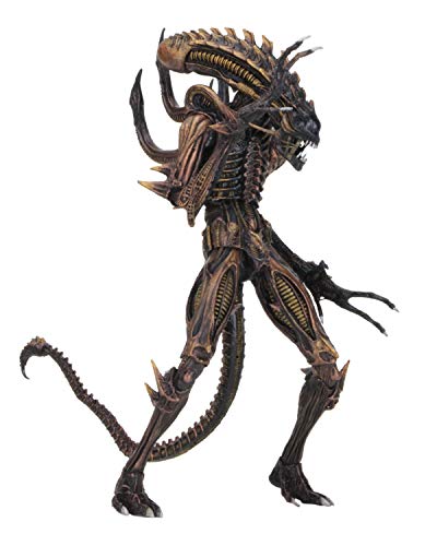 NECA Aliens Series 13 Action Figure Scorpion 7 Inches Material: Plastic, Manufacturer