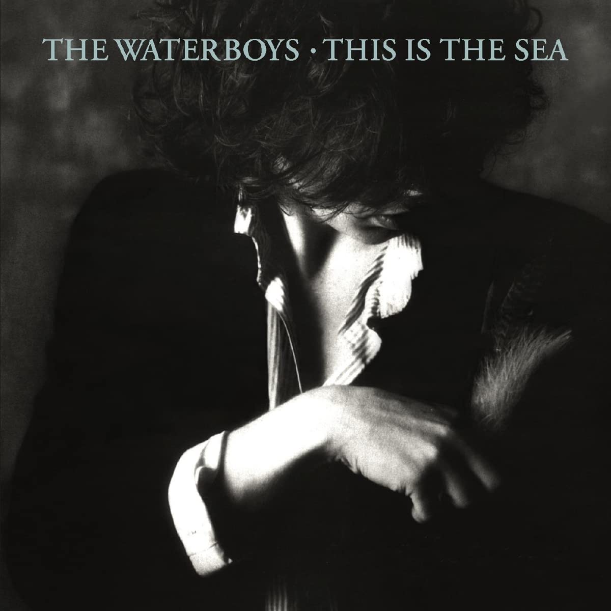 This Is The Sea [VINYL]