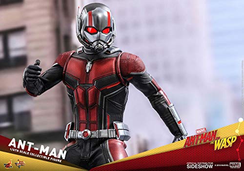 Hot Toys 1:6 Ant-Man - Movie Masterpiece Series