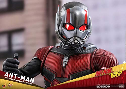 Hot Toys 1:6 Ant-Man - Movie Masterpiece Series