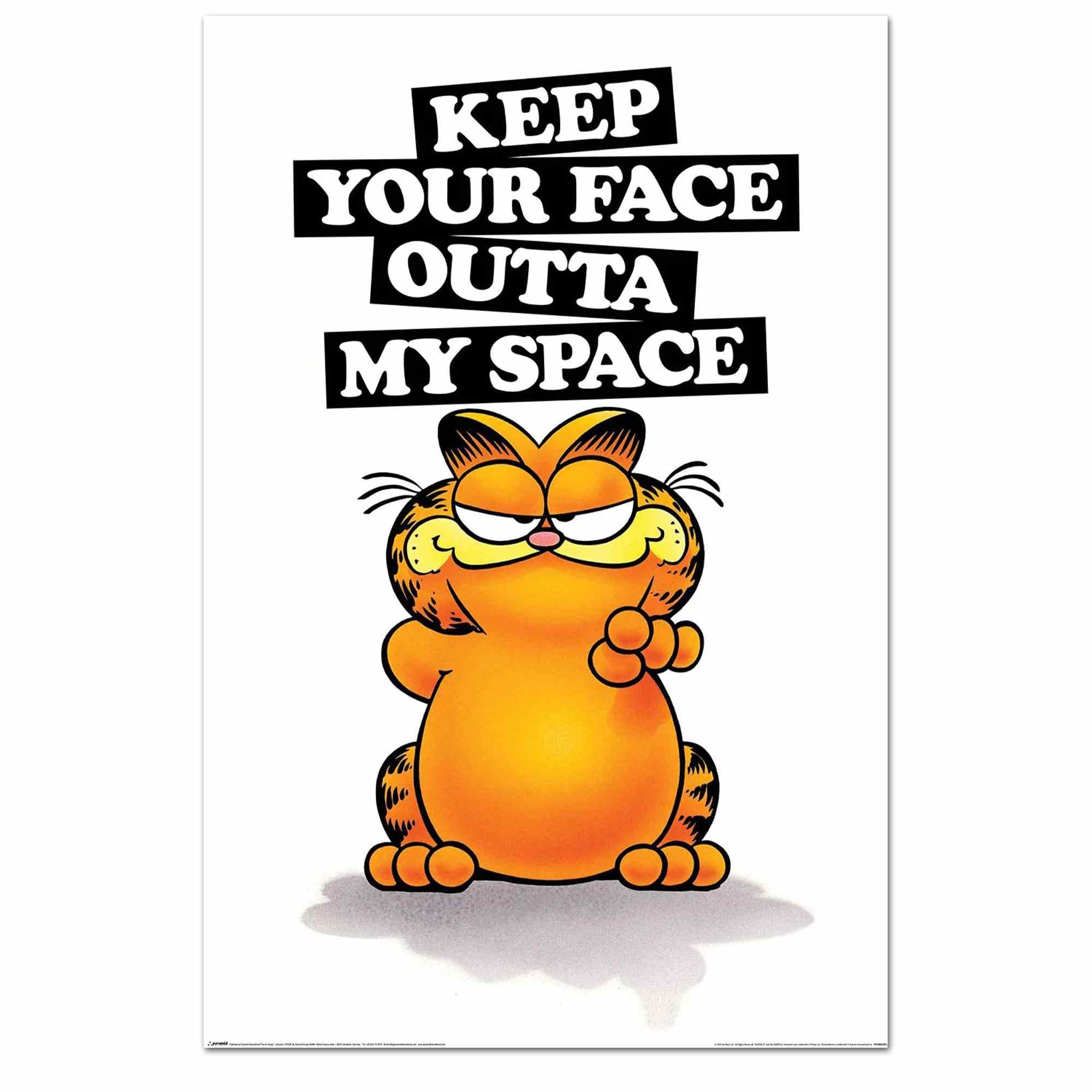 Pyramid International Garfield Poster Keep Your Face Outta My Space Funny Poster Iconic Wall Decoration 61 x 91.5 cm