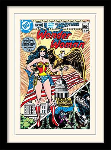 DC Comics Wonder Woman 30 X 40 cm "Eagle" Mounted And Framed Print