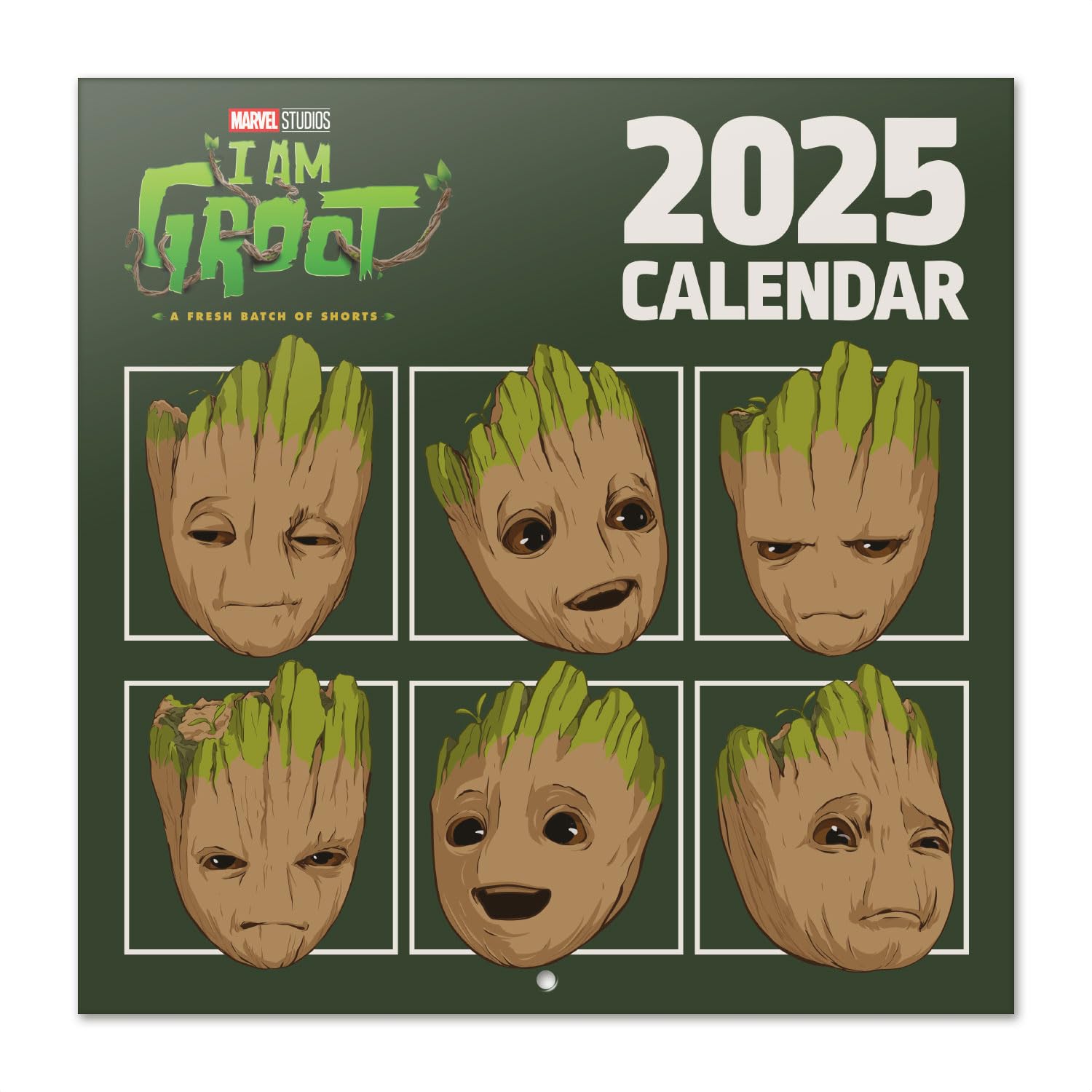 Grupo Erik Marvel Groot Wall Calendar 2025 | 12" x 12" Square Calendar 2025, Wall Planner 2025, Family Planner Calendar 2025 | Groot Calendar 2025, Marvel Calendar 2025