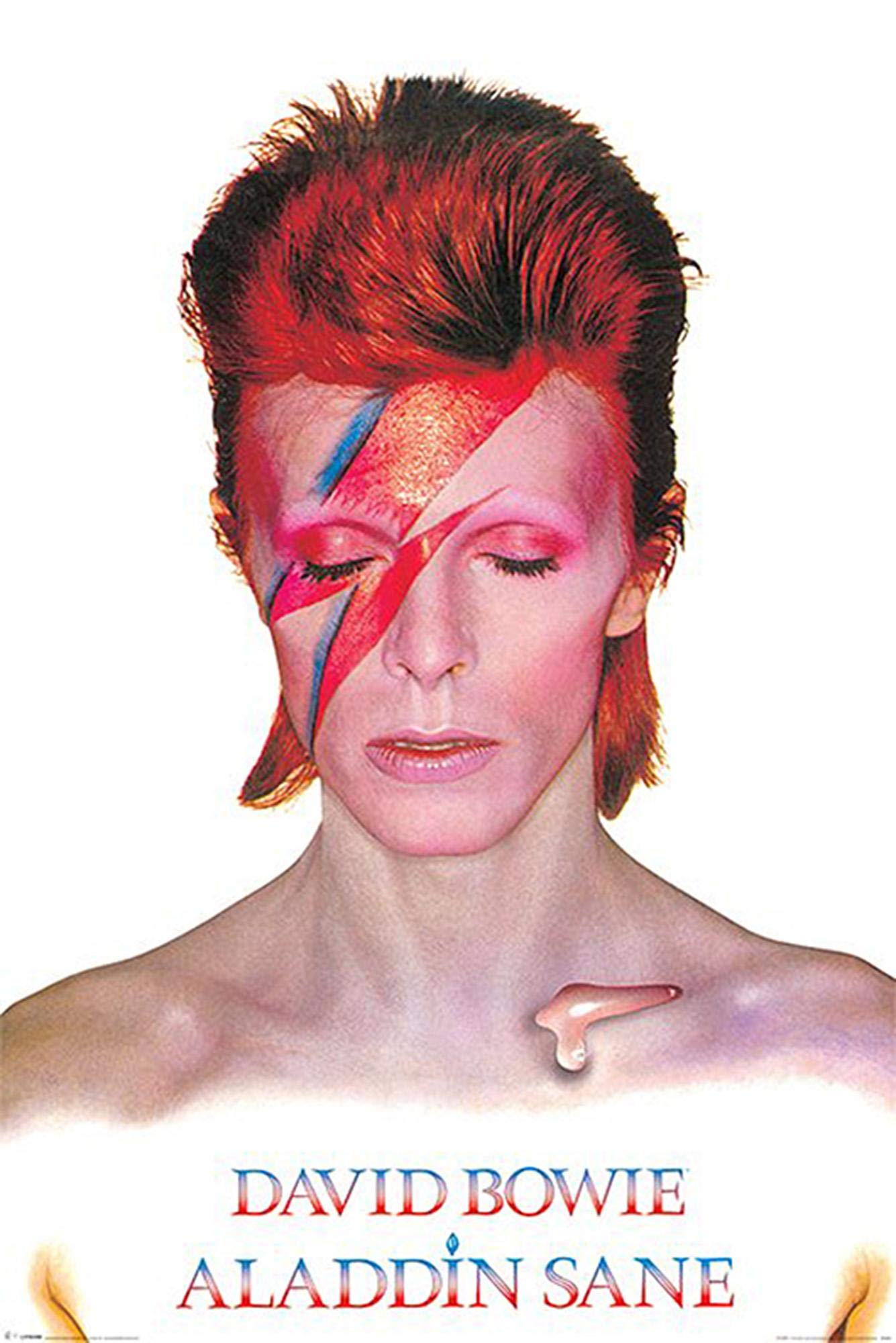 Pyramid International "Aladdin Sane David Bowie Maxi Poster, Multi-Colour, 61 x 91.5 x 1.3 cm