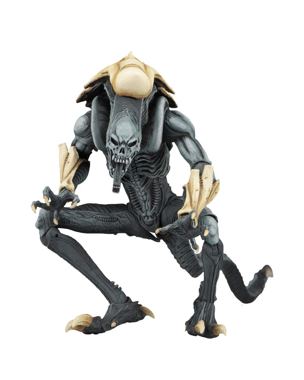 NECA Alien vs Predator Arcade Chrysalis Alien Multicolor Plastic Action Figure Manufacturer