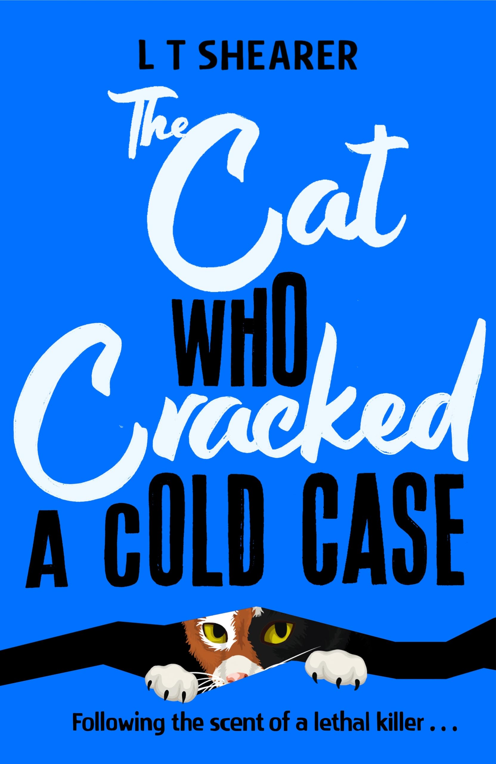 The Cat Who Cracked a Cold Case: A Cosy Crime Novel for Cat Lovers Everywhere: 3 (Conrad the Cat Detective, 3)