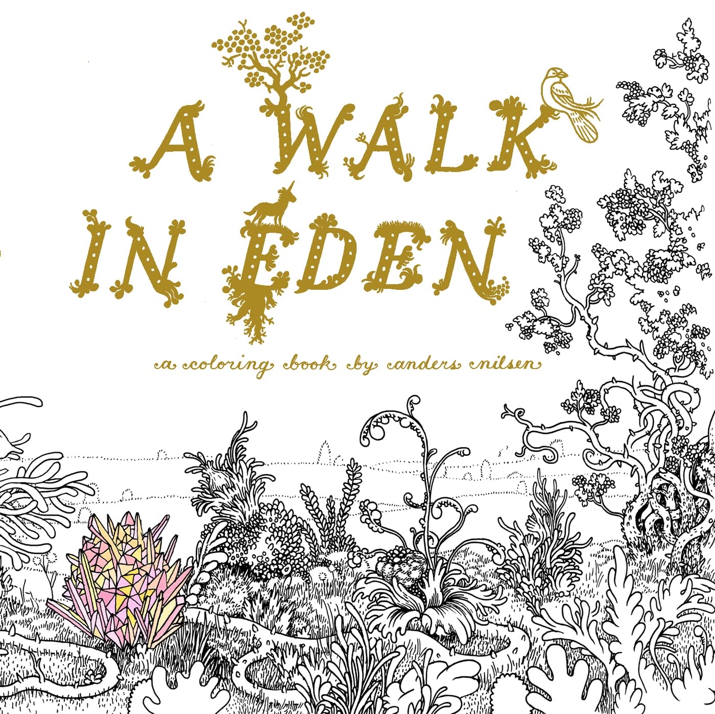 Walk in Eden, A (Colouring Books): A Colouring Book by Anders Nilsen