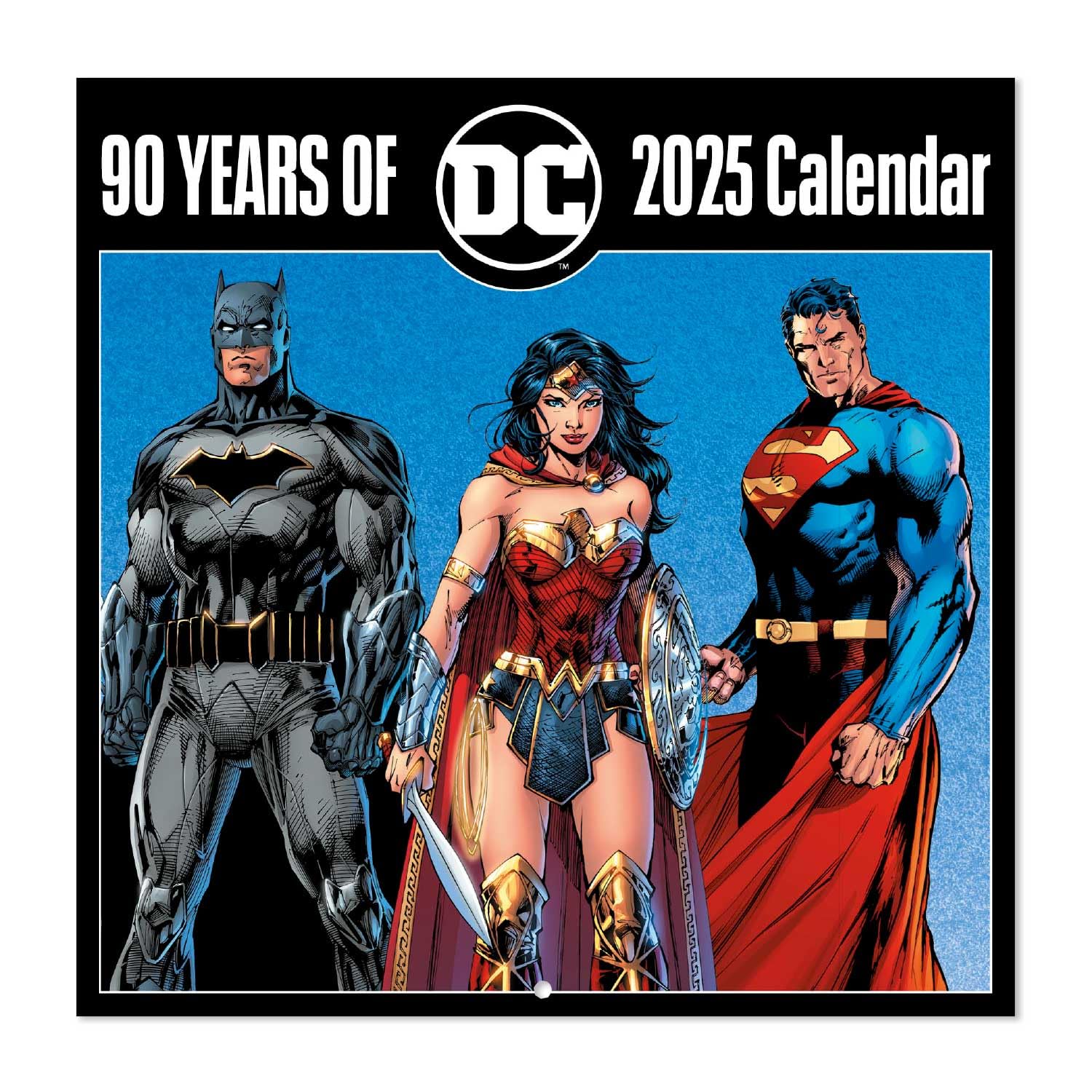 Grupo Erik DC Comics Wall Calendar 2025 | 12" x 12" Square Calendar 2025, Wall Planner 2025, Family Planner Calendar 2025 | DC Comics Calendar 2025, Batman Calendar 2025