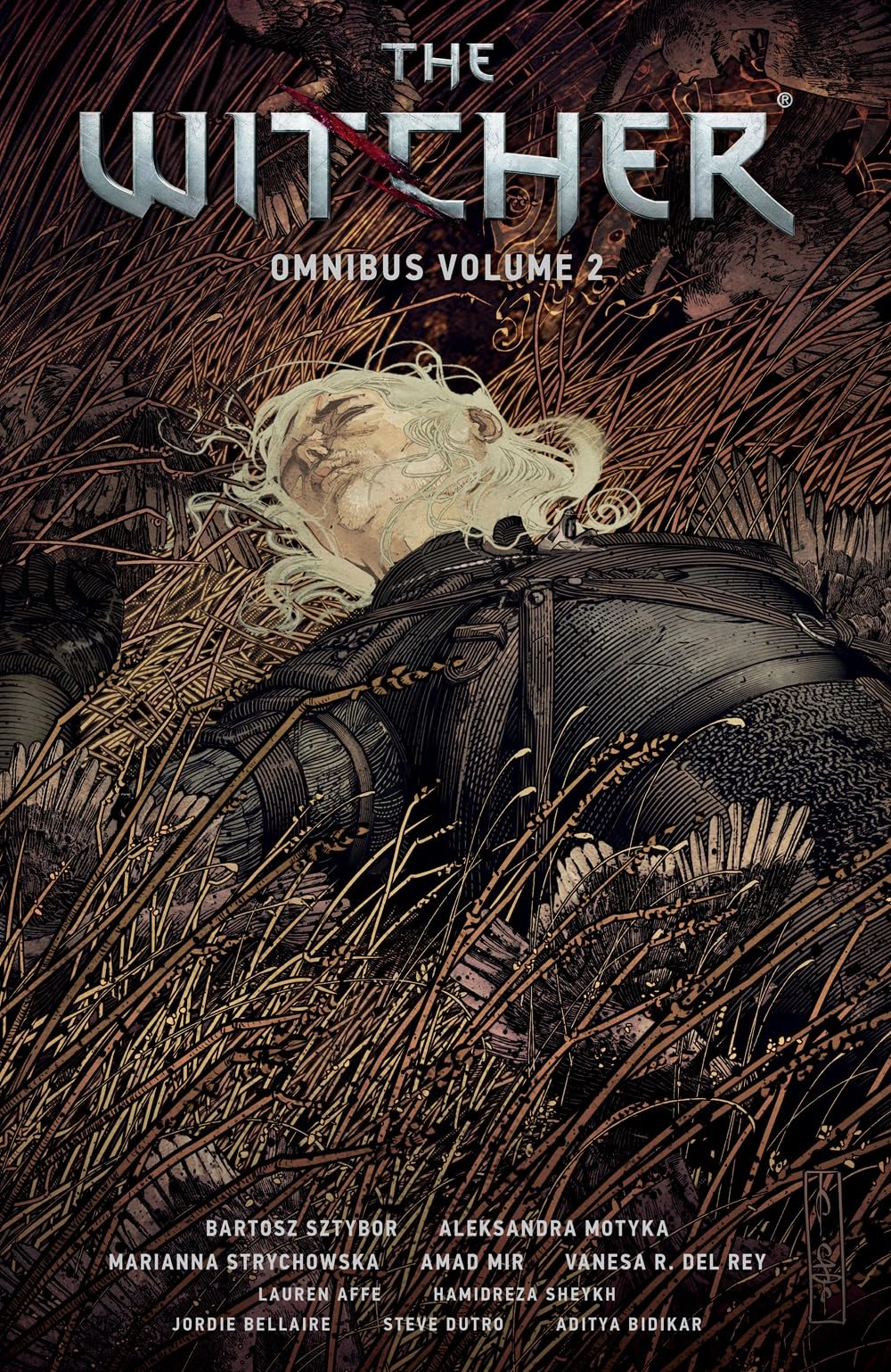 The Witcher Omnibus Volume 2