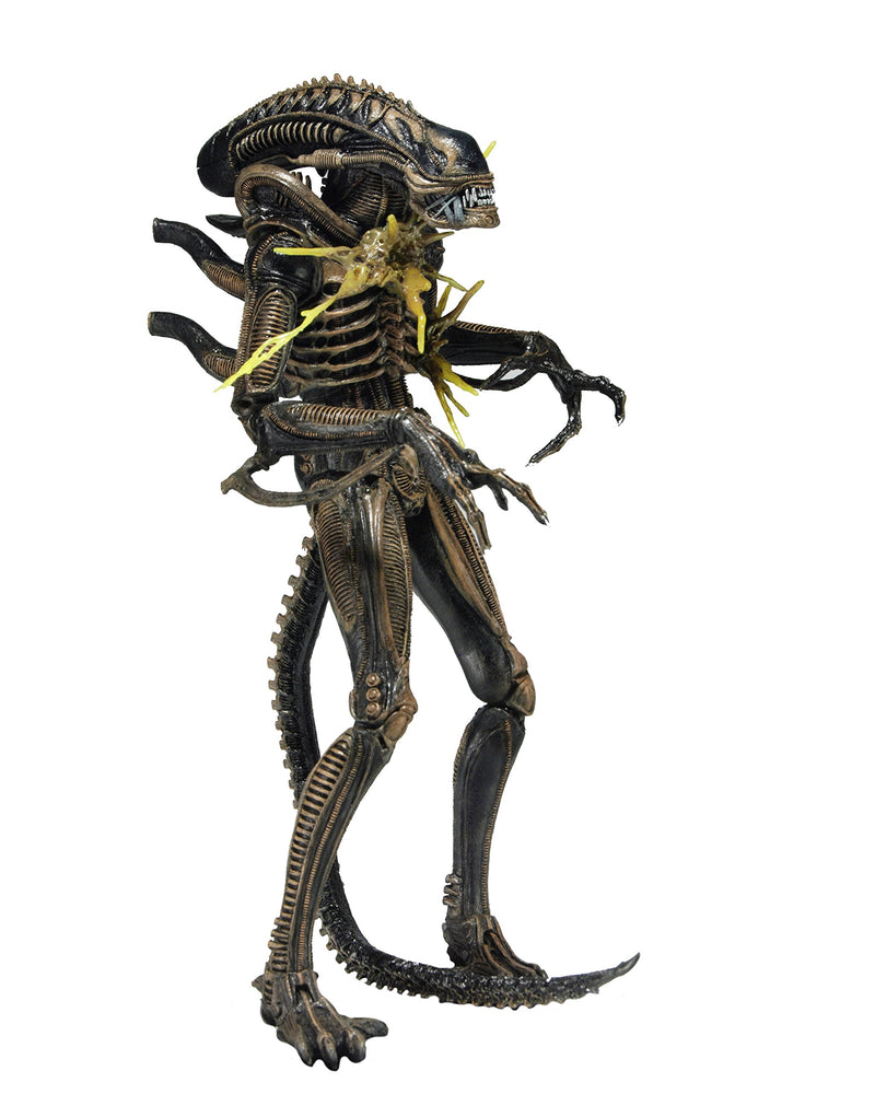 NECA Aliens – Damaged Warrior Figure NEC0NC51681, Assorted Colour/Model