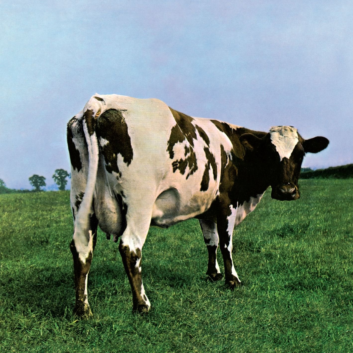 Atom Heart Mother [VINYL]