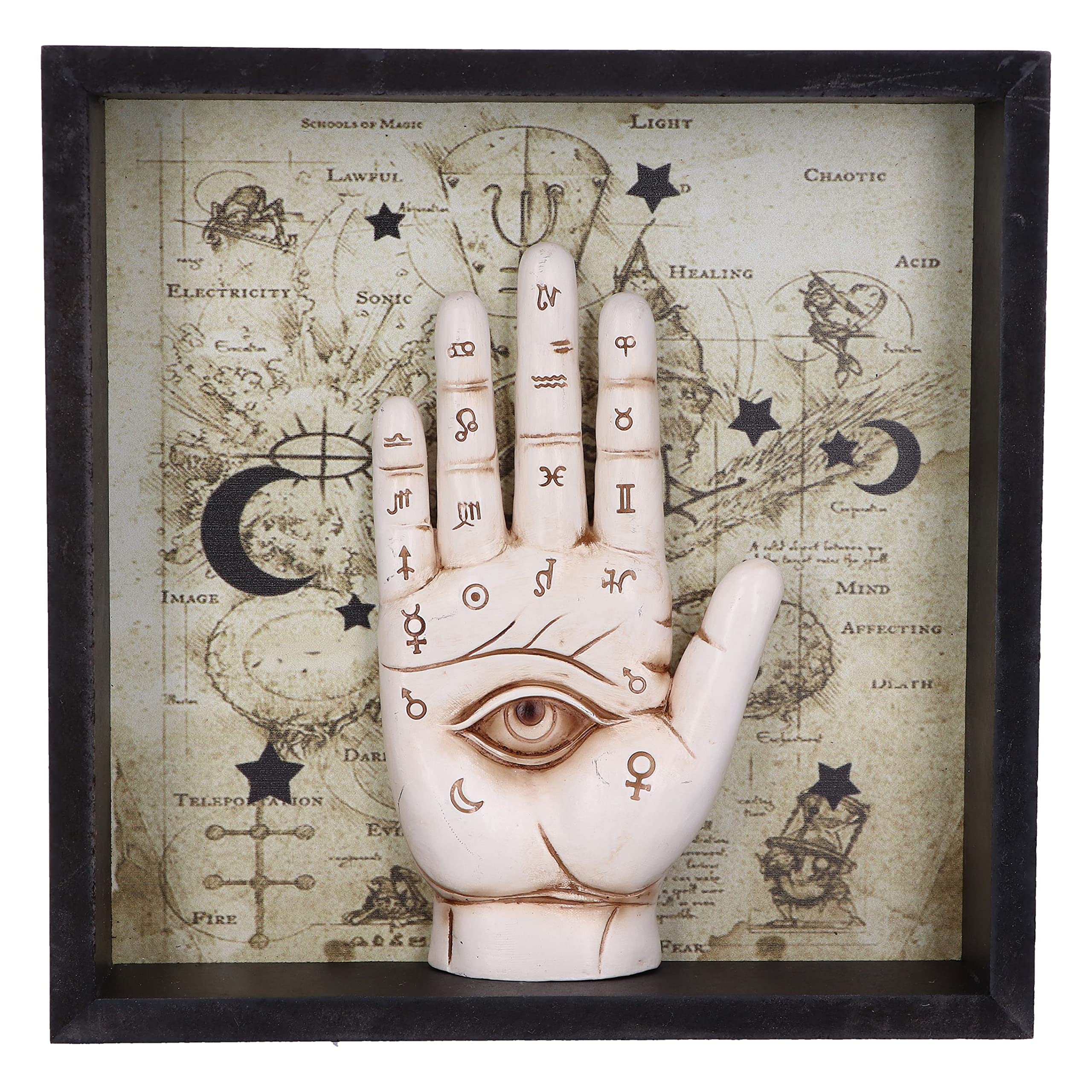 Nemesis Now Palmistry Companion Framed Chiromancy Wall Mounted Art