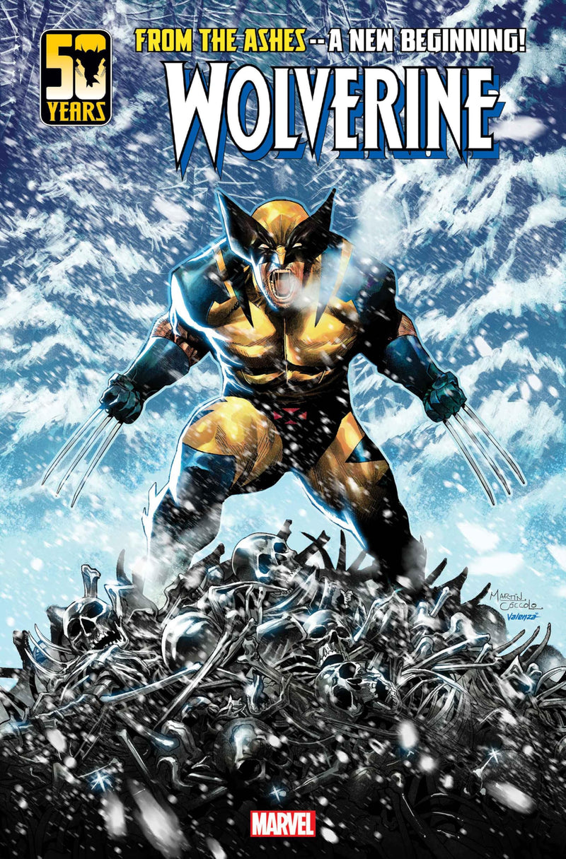 Wolverine Vol. 1 (Wolverine (Marvel) (Quality Paper))